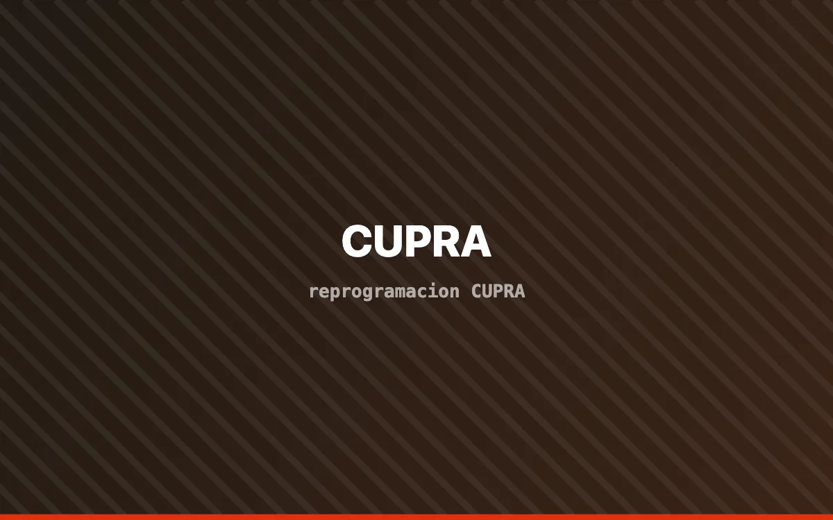 Vehículo CUPRA en banco de potencia durante una reprogramación de centralita