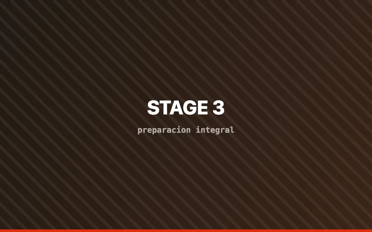 Reprogramación Stage 3 de centralita